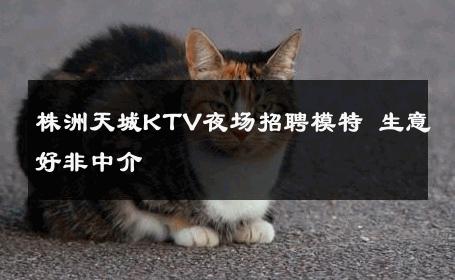 株洲天城KTV夜场招聘模特 生意好非中介