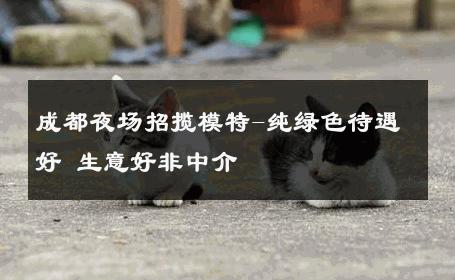 成都夜场招揽模特-纯绿色待遇好 生意好非中介