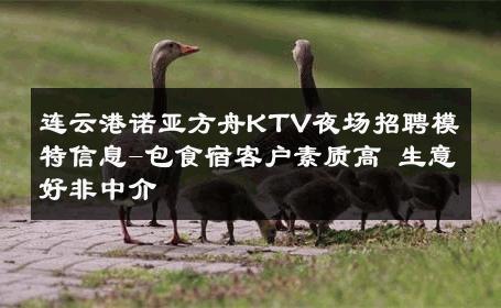 连云港诺亚方舟KTV夜场招聘模特信息-包食宿客户素质高 生意好非中介