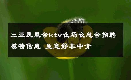 三亚凤凰会ktv夜场夜总会招聘模特信息 生意好非中介