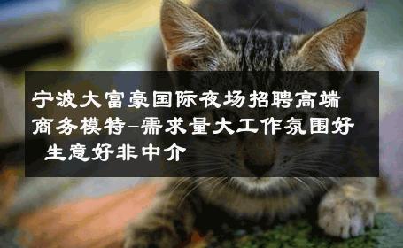 宁波大富豪国际夜场招聘高端商务模特-需求量大工作氛围好 生意好非中介