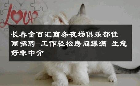 长春金百汇商务夜场俱乐部佳丽招聘-工作轻松房间爆满 生意好非中介