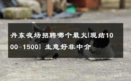 丹东夜场招聘哪个最火[现结1000-1500] 生意好非中介