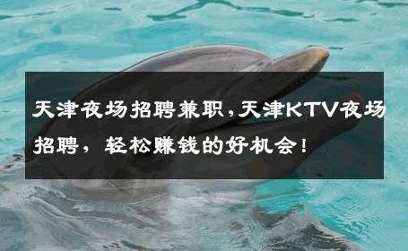 天津夜场招聘兼职,天津KTV夜场招聘，轻松赚钱的好机会！