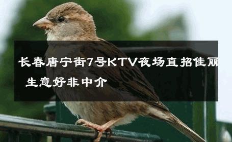 长春唐宁街7号KTV夜场直招佳丽 生意好非中介