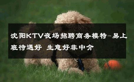沈阳KTV夜场招聘商务模特-易上班待遇好 生意好非中介