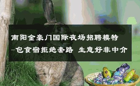 南阳金豪门国际夜场招聘模特-包食宿拒绝套路 生意好非中介