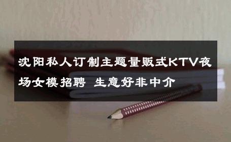 沈阳私人订制主题量贩式KTV夜场女模招聘 生意好非中介