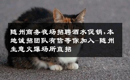 随州商务夜场招聘酒水促销,本地诚招团队有信等你加入-随州生意火爆场所直招