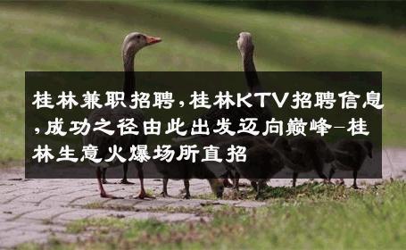 桂林兼职招聘,桂林KTV招聘信息,成功之径由此出发迈向巅峰-桂林生意火爆场所直招