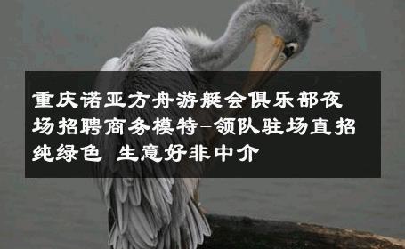 重庆诺亚方舟游艇会俱乐部夜场招聘商务模特-领队驻场直招纯绿色 生意好非中介