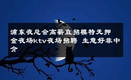 浦东夜总会高薪直招模特无押金夜场ktv夜场招聘 生意好非中介