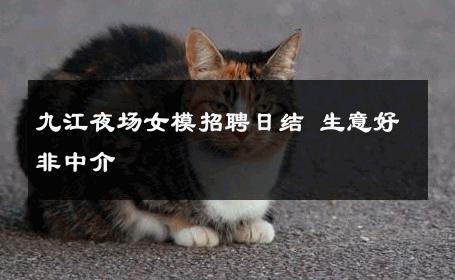 九江夜场女模招聘日结 生意好非中介