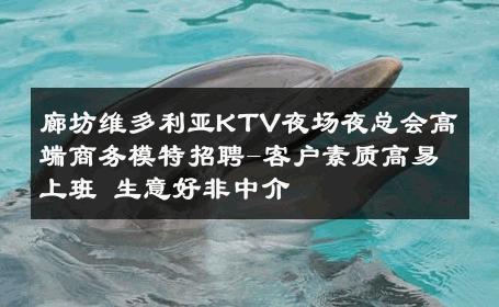 廊坊维多利亚KTV夜场夜总会高端商务模特招聘-客户素质高易上班 生意好非中介