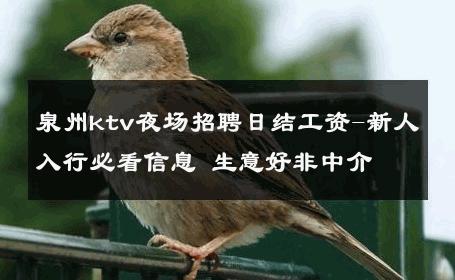 泉州ktv夜场招聘日结工资-新人入行必看信息 生意好非中介