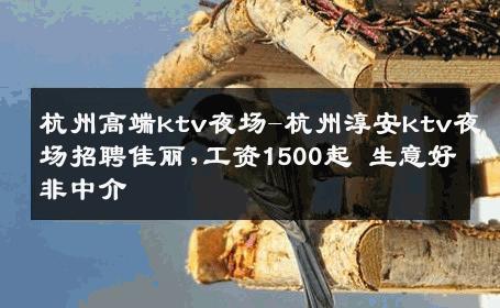 杭州高端ktv夜场-杭州淳安ktv夜场招聘佳丽,工资1500起 生意好非中介