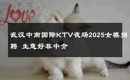武汉中南国际KTV夜场2025女模招聘 生意好非中介