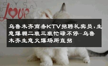 乌鲁木齐商务KTV招聘礼宾员,生意爆棚二班三班忙碌不停-乌鲁木齐生意火爆场所直招