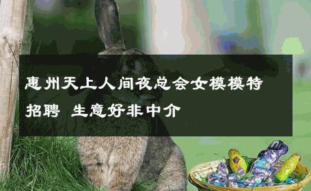惠州天上人间夜总会女模模特招聘 生意好非中介