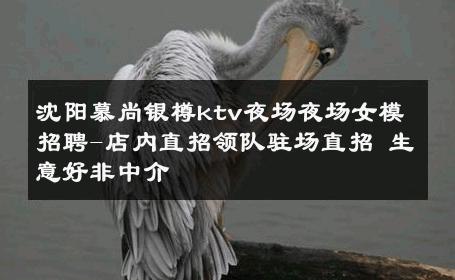 沈阳慕尚银樽ktv夜场夜场女模招聘-店内直招领队驻场直招 生意好非中介