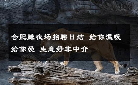 合肥赚夜场招聘日结-给你温暖给你爱 生意好非中介