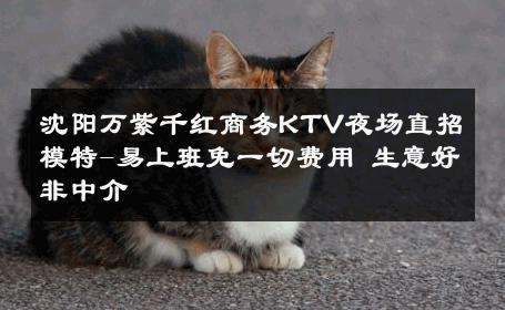 沈阳万紫千红商务KTV夜场直招模特-易上班免一切费用 生意好非中介