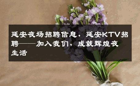 延安夜场招聘信息，延安KTV招聘——加入我们，成就辉煌夜生活