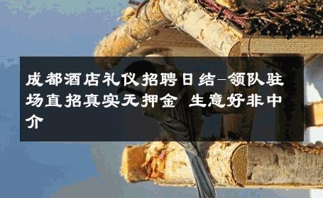 成都酒店礼仪招聘日结-领队驻场直招真实无押金 生意好非中介