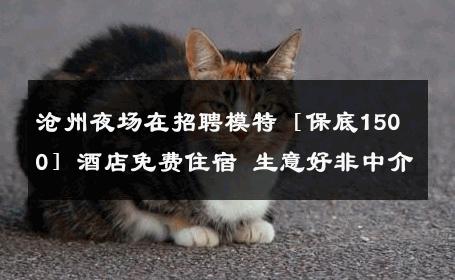 沧州夜场在招聘模特［保底1500］酒店免费住宿 生意好非中介