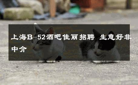 上海B-52酒吧佳丽招聘 生意好非中介