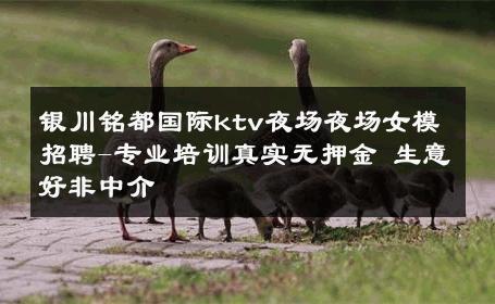 银川铭都国际ktv夜场夜场女模招聘-专业培训真实无押金 生意好非中介