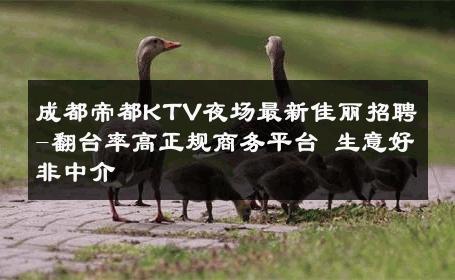 成都帝都KTV夜场最新佳丽招聘-翻台率高正规商务平台 生意好非中介