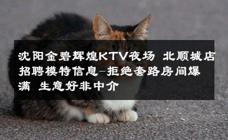 沈阳金碧辉煌KTV夜场 北顺城店招聘模特信息-拒绝套路房间爆满 生意好非中介