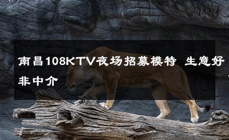 南昌108KTV夜场招募模特 生意好非中介