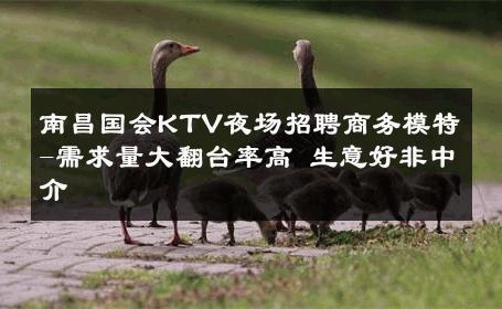 南昌国会KTV夜场招聘商务模特-需求量大翻台率高 生意好非中介