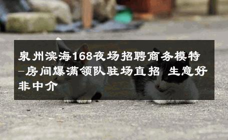 泉州滨海168夜场招聘商务模特-房间爆满领队驻场直招 生意好非中介