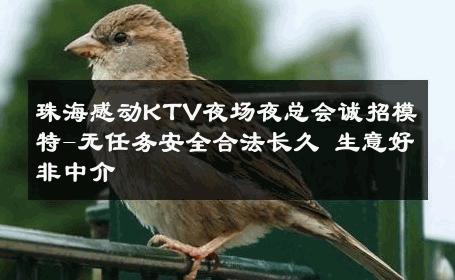 珠海感动KTV夜场夜总会诚招模特-无任务安全合法长久 生意好非中介