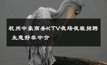 杭州中豪商务KTV夜场夜班招聘 生意好非中介