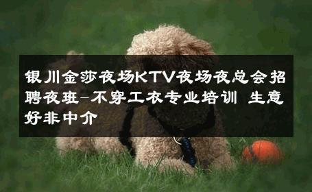 银川金莎夜场KTV夜场夜总会招聘夜班-不穿工衣专业培训 生意好非中介