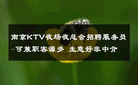 南京KTV夜场夜总会招聘服务员-可兼职客源多 生意好非中介