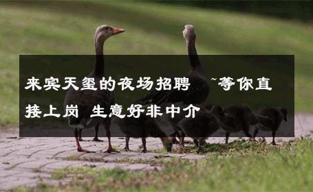 来宾天玺的夜场招聘  ~等你直接上岗 生意好非中介