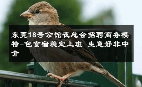 东莞18号公馆夜总会招聘商务模特-包食宿稳定上班 生意好非中介