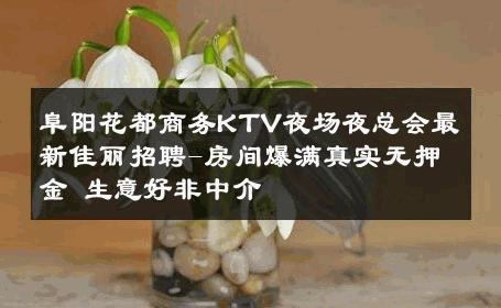 阜阳花都商务KTV夜场夜总会最新佳丽招聘-房间爆满真实无押金 生意好非中介