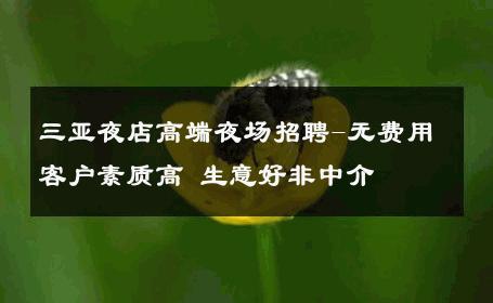 三亚夜店高端夜场招聘-无费用客户素质高 生意好非中介