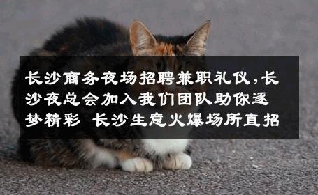 长沙商务夜场招聘兼职礼仪,长沙夜总会加入我们团队助你逐梦精彩-长沙生意火爆场所直招