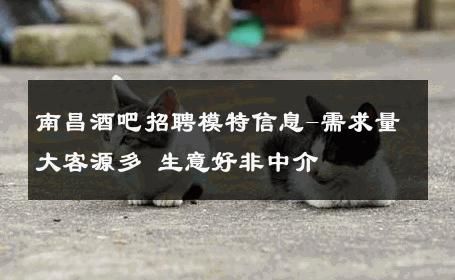 南昌酒吧招聘模特信息-需求量大客源多 生意好非中介