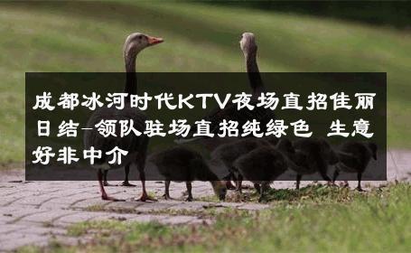 成都冰河时代KTV夜场直招佳丽日结-领队驻场直招纯绿色 生意好非中介