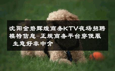 沈阳金碧辉煌商务KTV夜场招聘模特信息-正规商务平台穿便服 生意好非中介