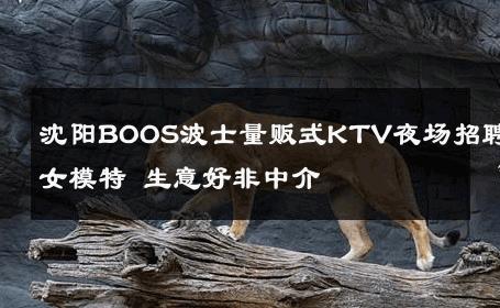 沈阳BOOS波士量贩式KTV夜场招聘女模特 生意好非中介