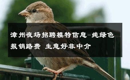 漳州夜场招聘模特信息-纯绿色报销路费 生意好非中介